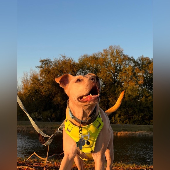 Meet your Posher, Stef๐ - Picture 10 of 11